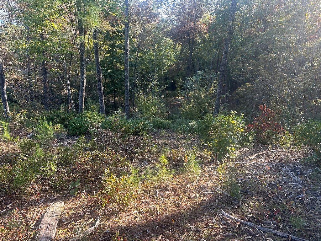 LOT 44 Ridgeline Ln Mineral Bluff, GA 30559  | Land/Lot