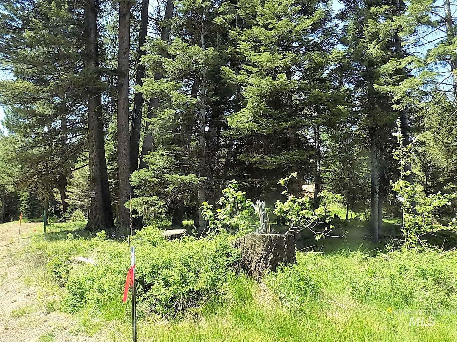 20 Andy, McCall, ID, 83638  | Land/Lot