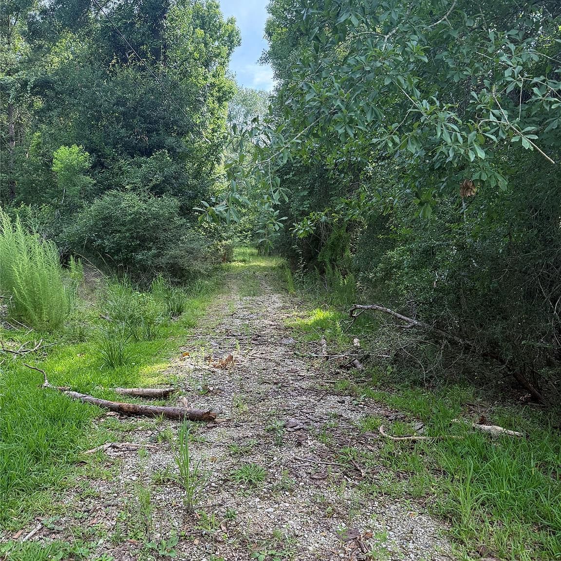 4668 Spillers Rd Lumberton, TX 77657  | Land/Lot