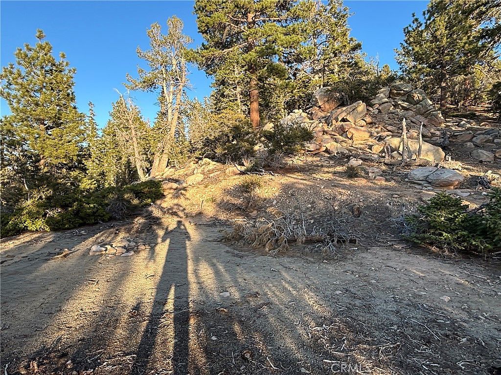 0 Ironwood Ln Angelus Oaks, CA 92305  | Land/Lot