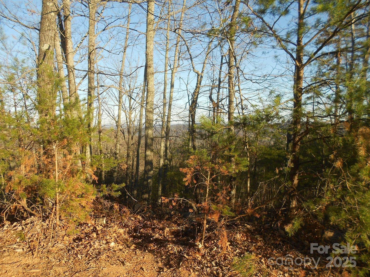 0 Arbra Mountain Way #54 Bostic, NC 28018 | Land/Lot