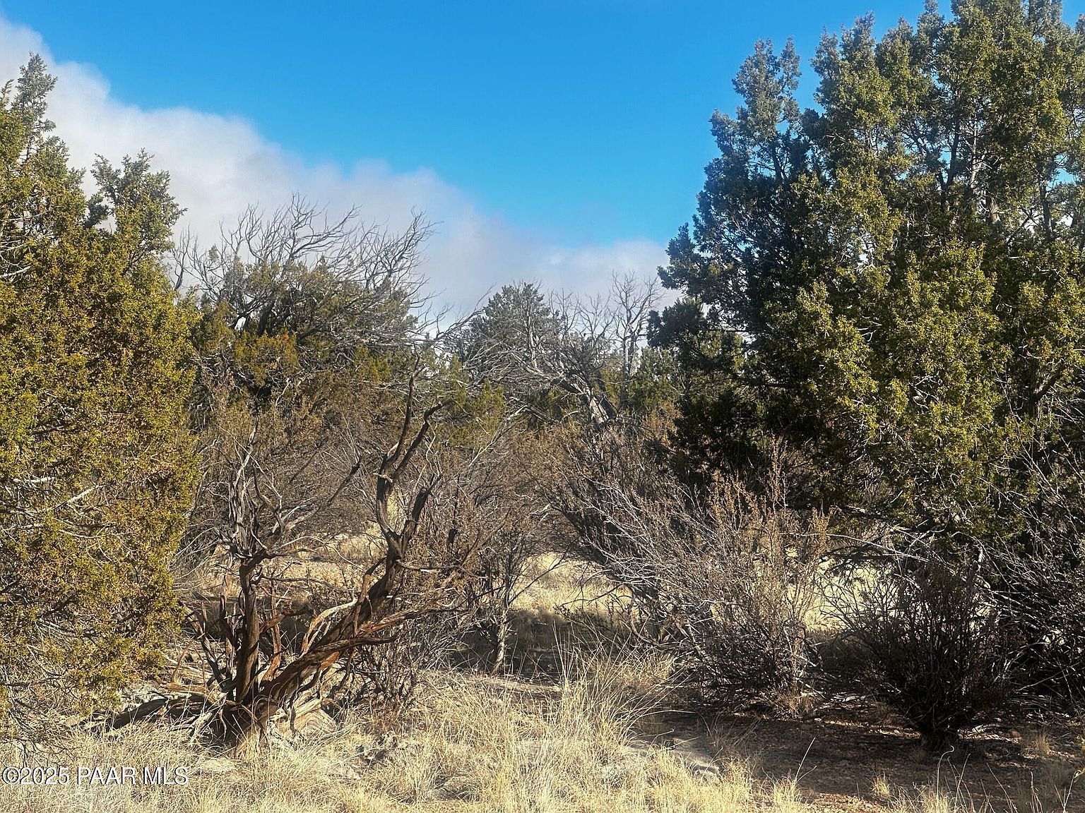 32292 W Ancho Rd Seligman, AZ 86337  | Land/Lot