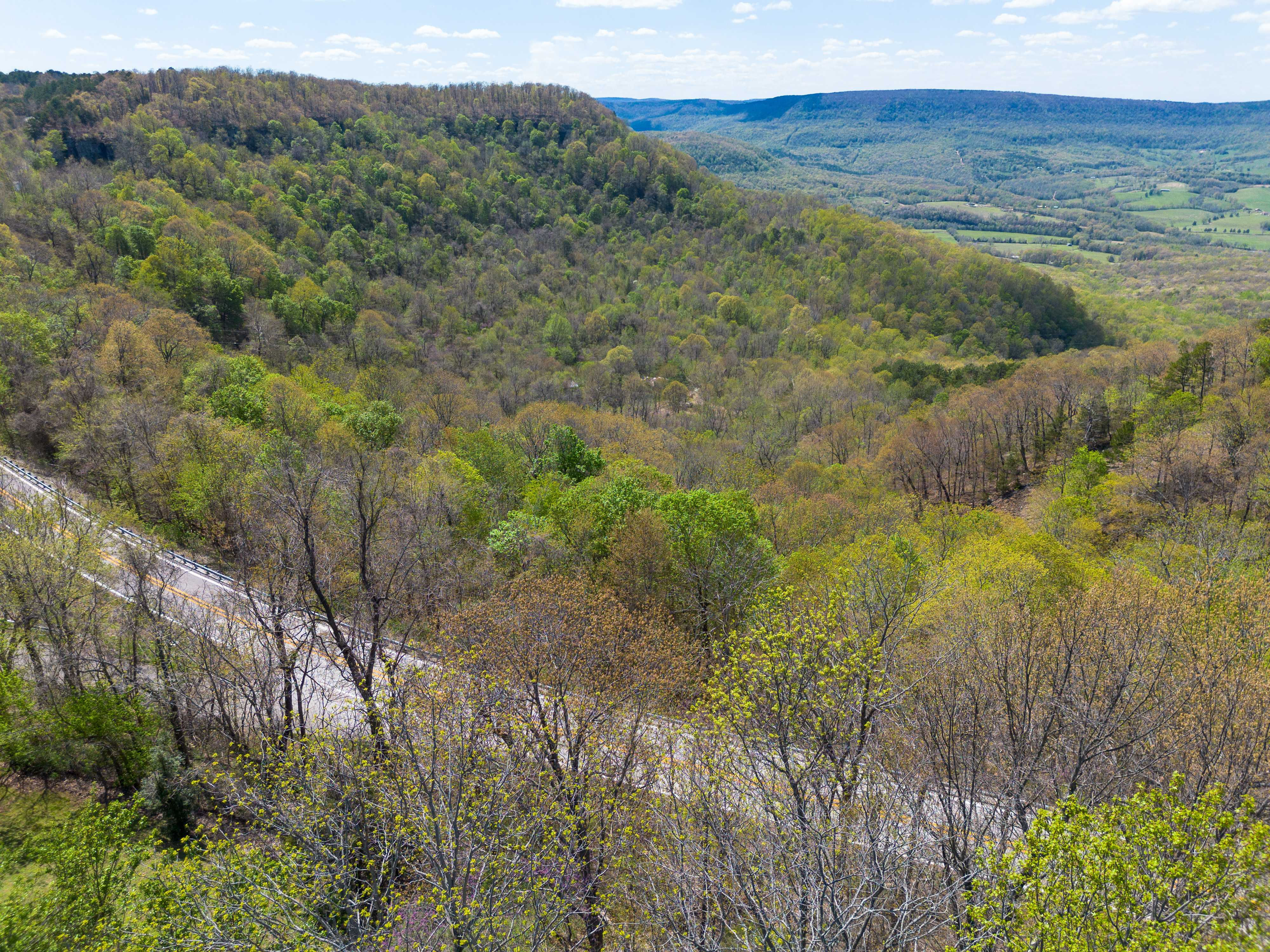 4056 NC 4830, Mt. Judea, AR, 72655 | Single Family