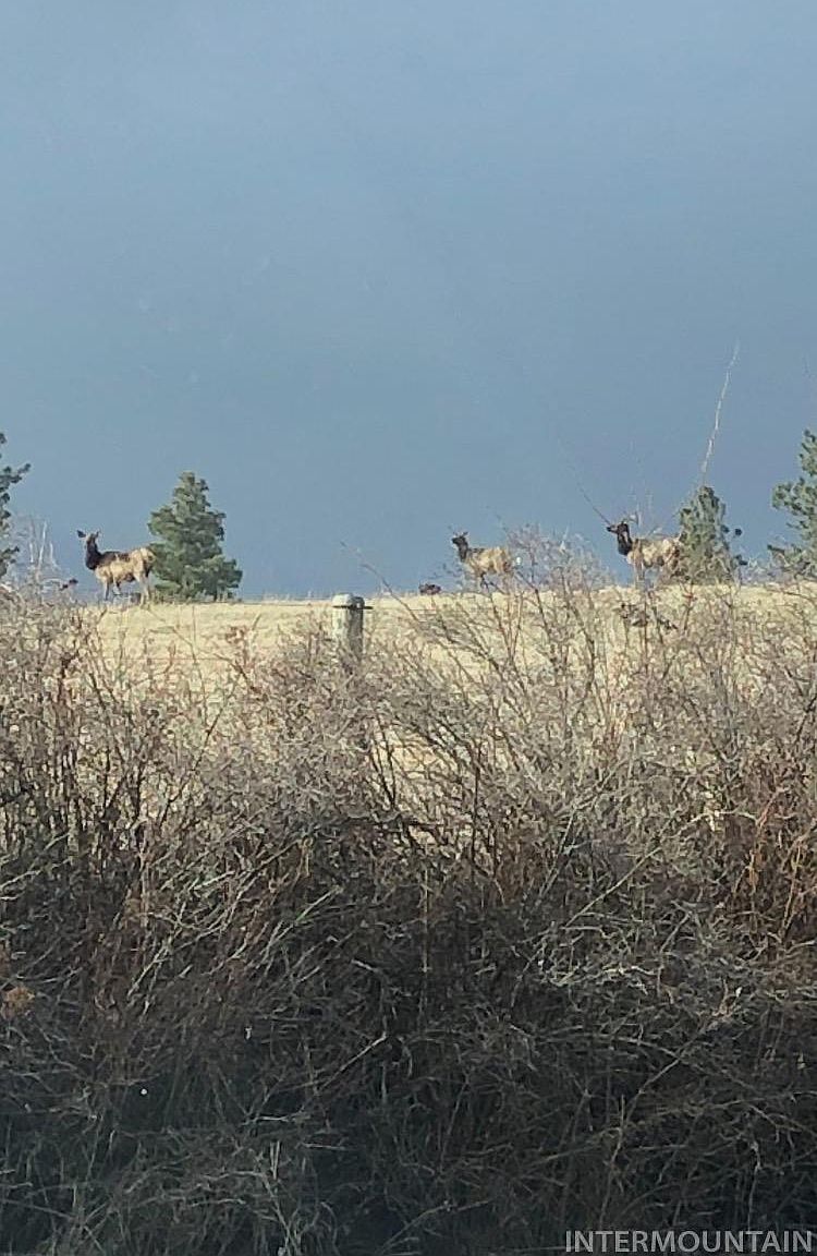 Tukta Way Ln Princeton, ID 83857  | Land/Lot