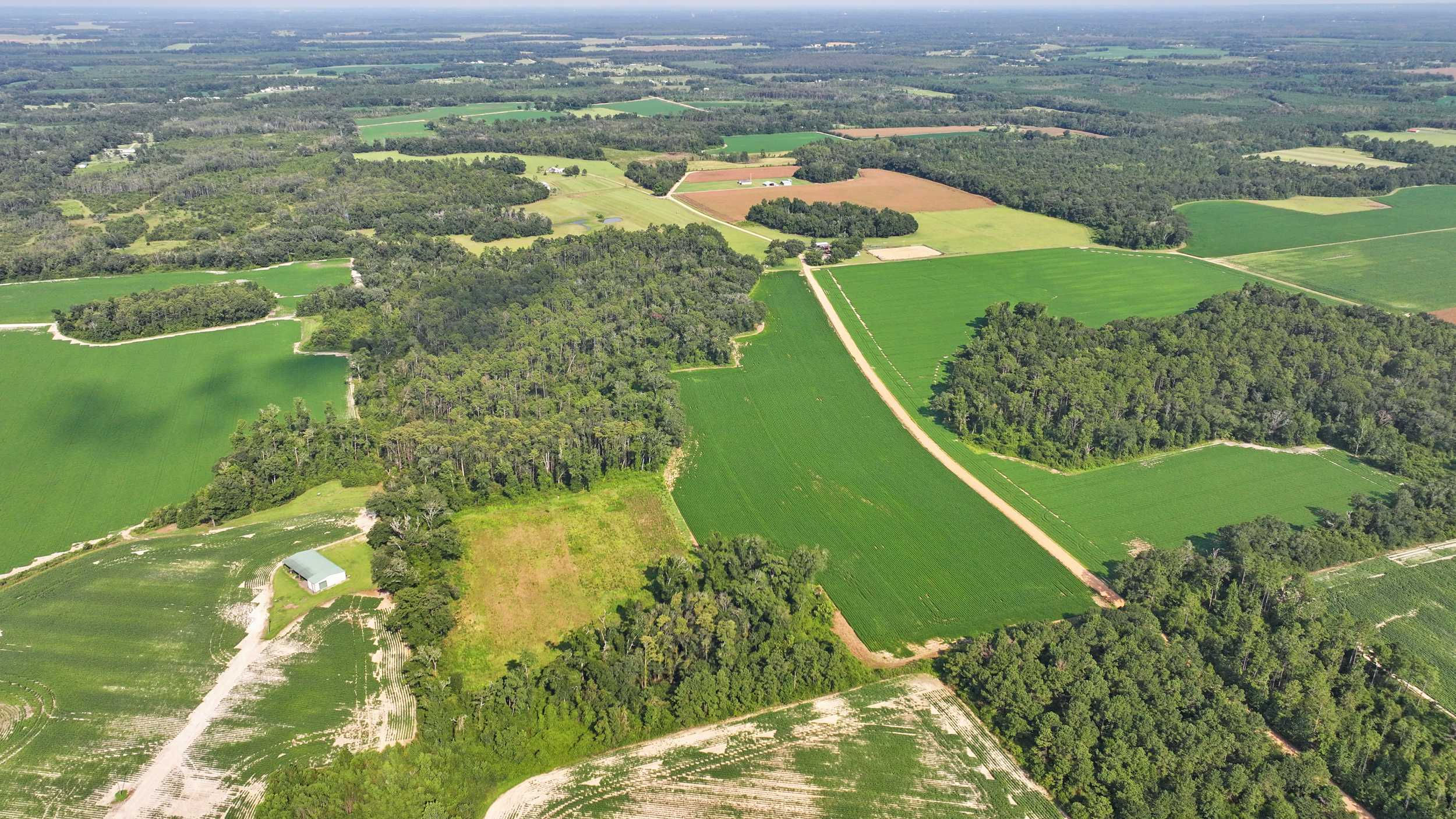 0000 Eldridge Road, Cottondale, FL, 32431  | Land/Lot