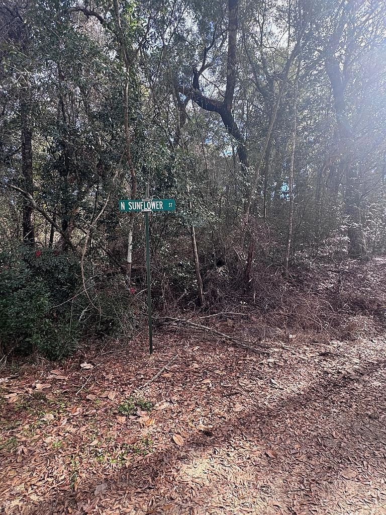 0 N Sunflower St Geneva, AL 36340  | Land/Lot