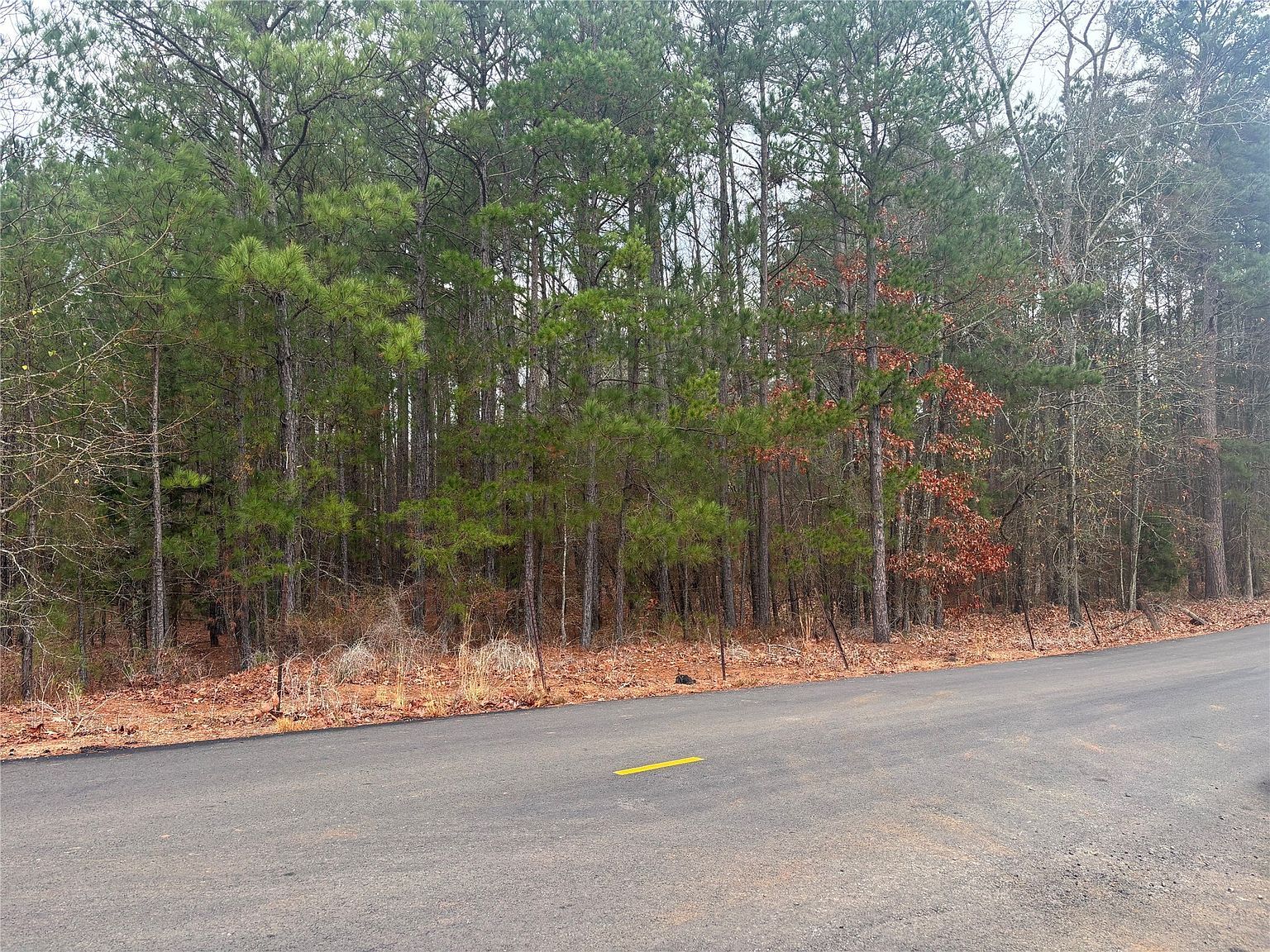 0 Clement Rd Benton, LA 71006  | Land/Lot