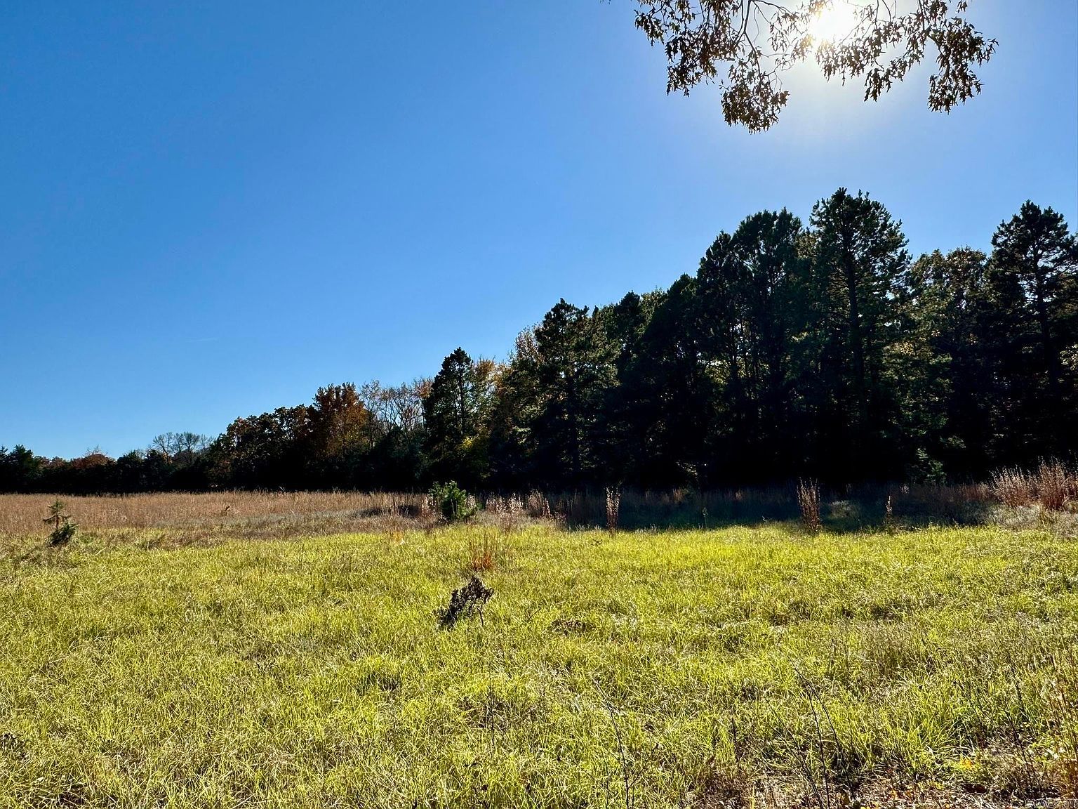 150 Holloway Ln Greenbrier, AR 72058  | Land/Lot