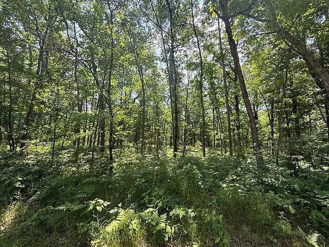 W Cleveland Dr Bitely, MI 49309 | Land/Lot