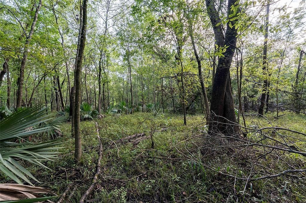 11623 & 11625 Cool Shadows Dr Houston, TX 77044 | Land/Lot