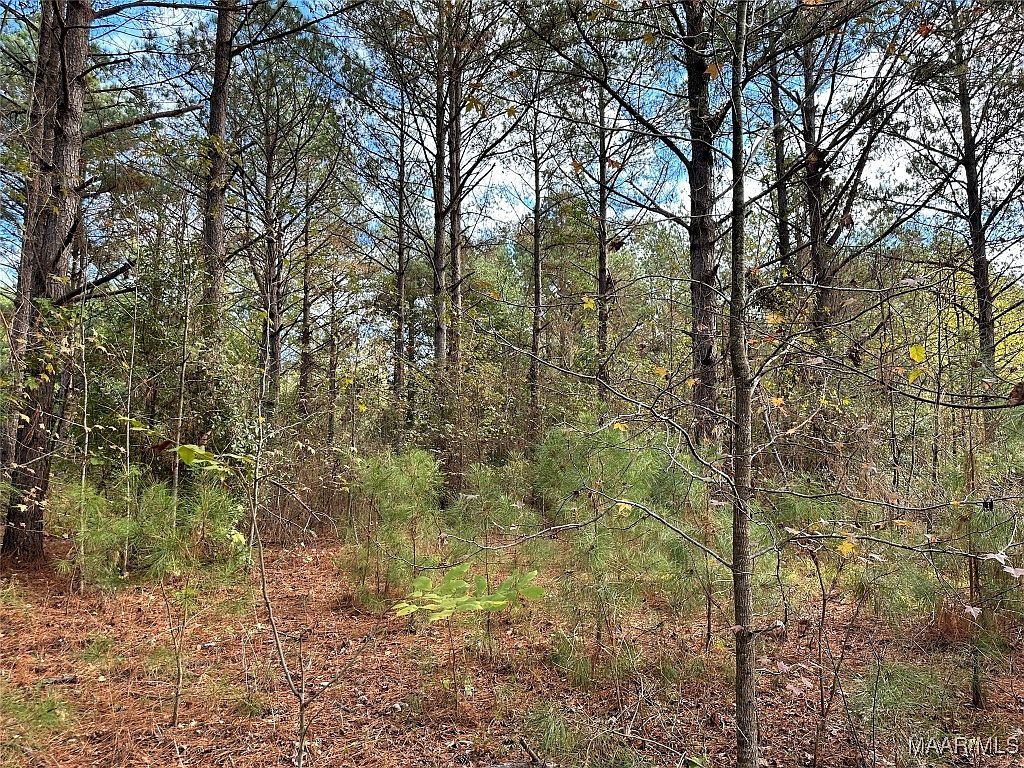 2 Bel Ru Lndg Autaugaville, AL 36003 | Land/Lot