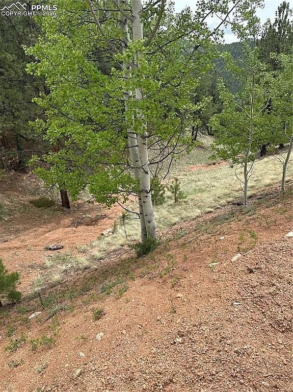 1600 Pikes Peak Dr Divide, CO 80814  | Land/Lot