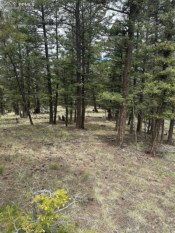 1120/1086 N Mountain Estates Rd Florissant, CO 80816 | Land/Lot