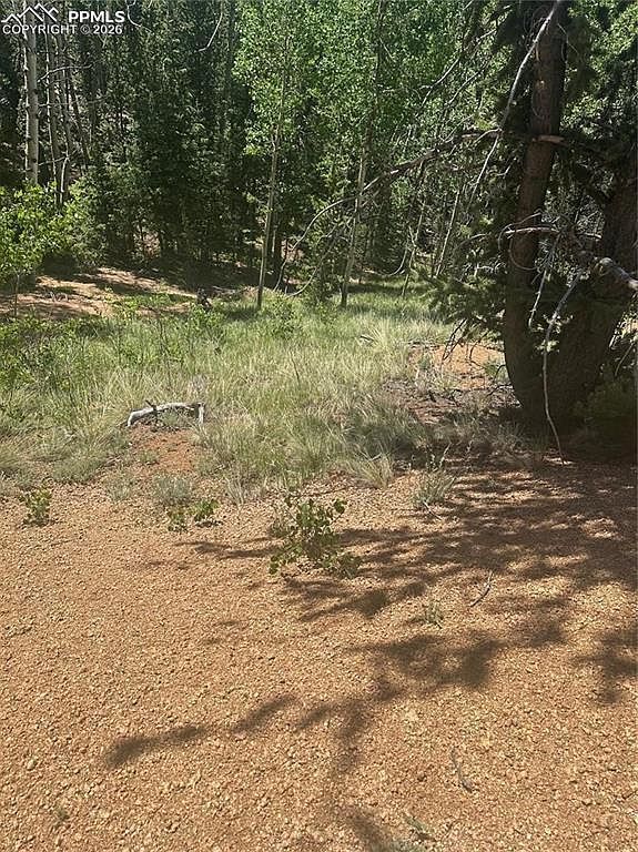 110 Brown Bear Ln Cripple Creek, CO 80813 | Land/Lot
