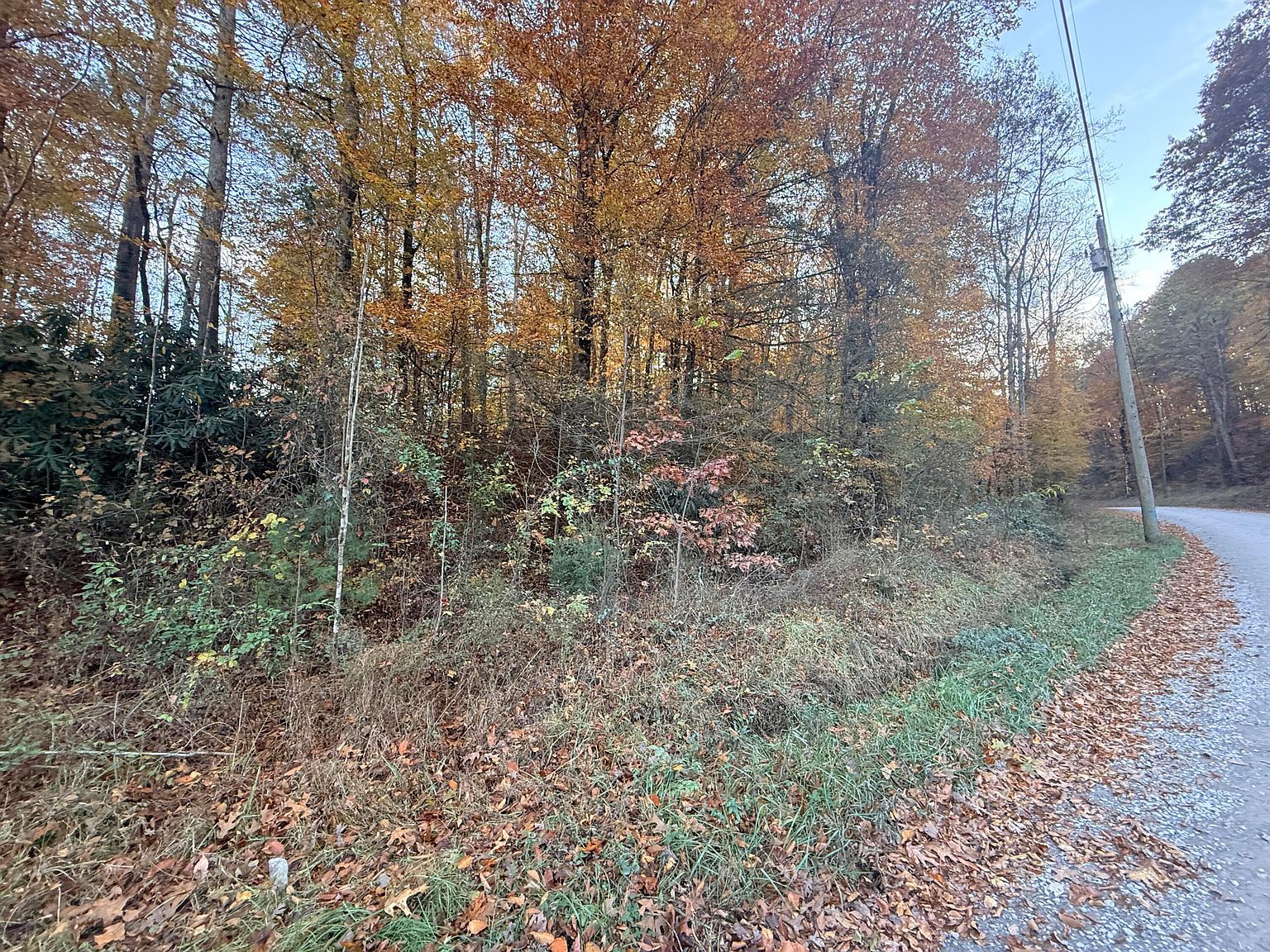 42/43 Deerfoot Rd Newport, TN 37821  | Land/Lot
