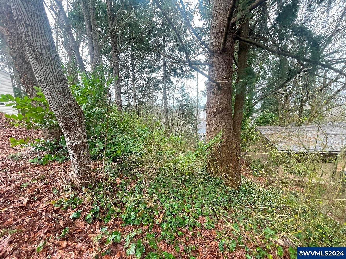 340 View Dr NW Salem, OR 97304  | Land/Lot