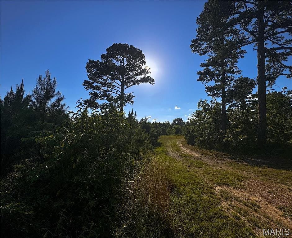 0 Madison St #247 Fredericktown, MO 63645  | Land/Lot