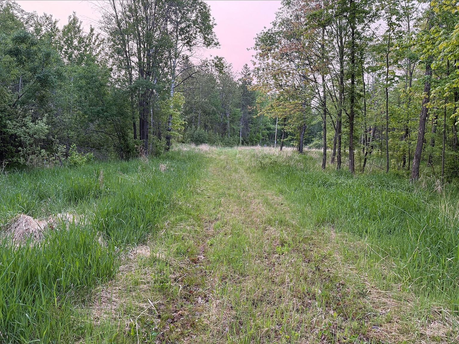1102 W County Line Rd Wright, MN 55787  | Land/Lot