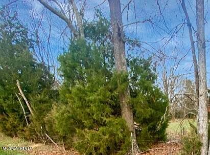 1178 Stump Ridge Rd Brandon, MS 39047  | Land/Lot