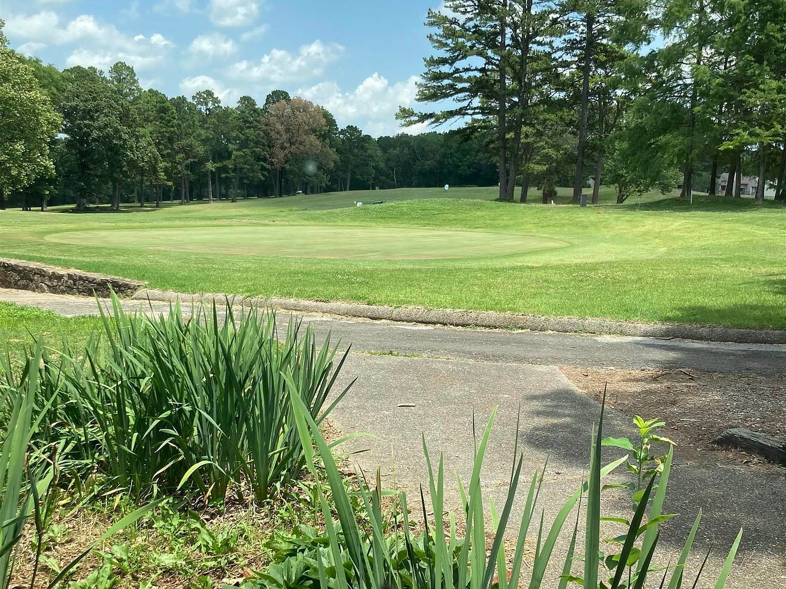 58 & 59 Hilltop Dr Fairfield Bay, AR 72088  | Land/Lot