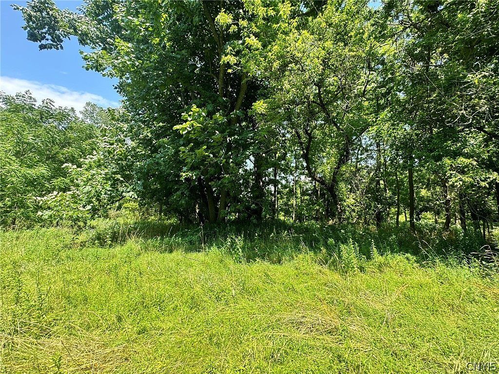 1253 Starr Rd #37 Cortland, NY 13045  | Land/Lot