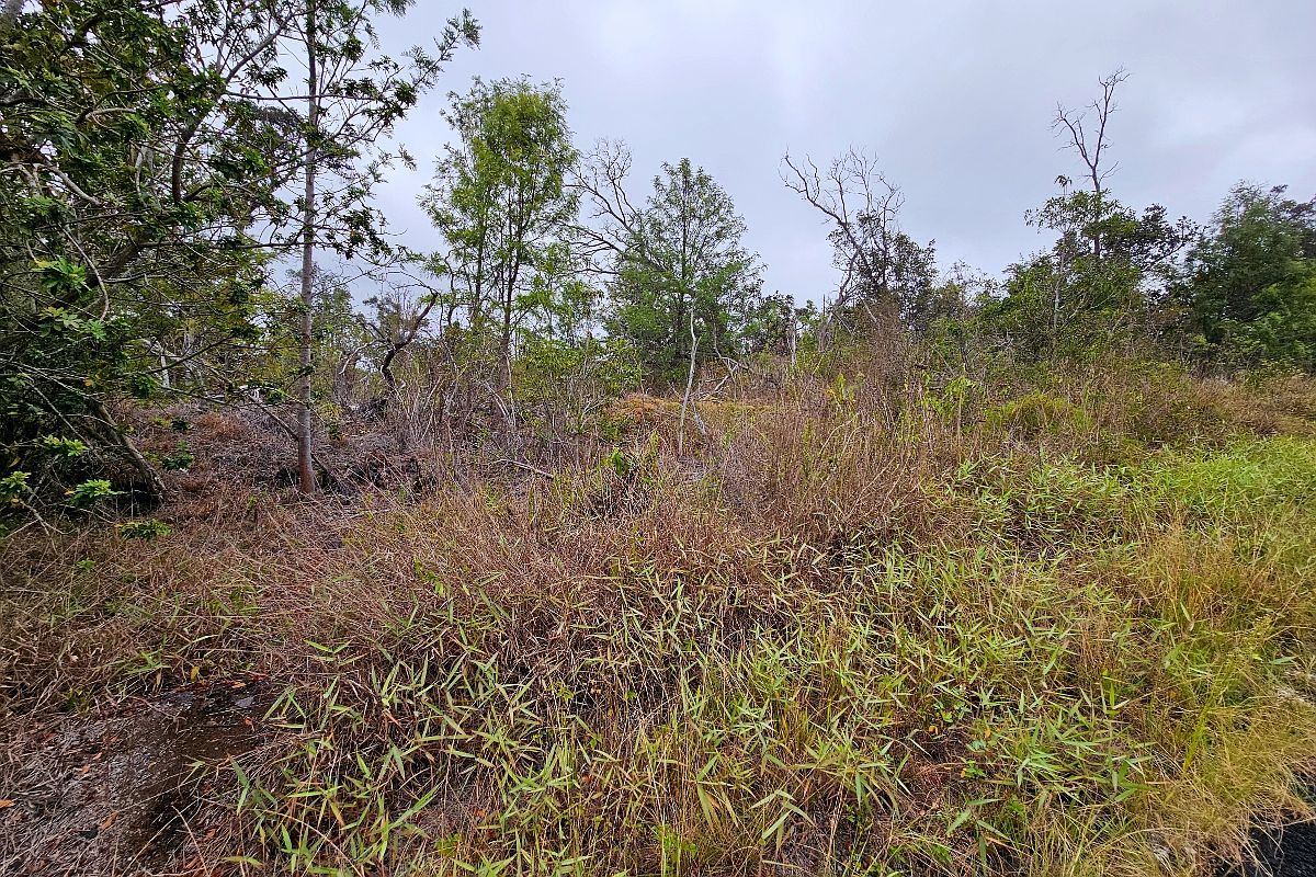 Catamaran Ln Ocean View, HI 96737 | Land/Lot