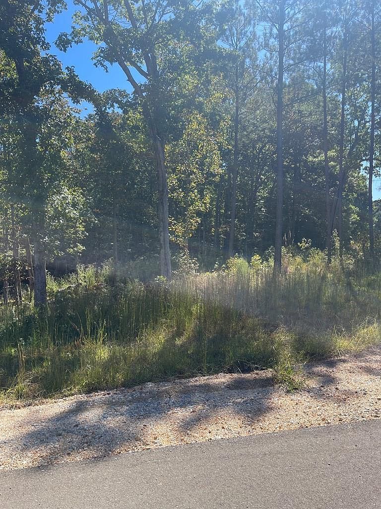 0 Beach Bluff Ln LOT 24 Huntingdon, TN 38344  | Land/Lot