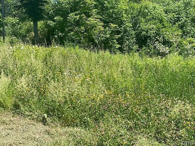 6652 Buckland Dr #26 Marcy, NY 13403  | Land/Lot