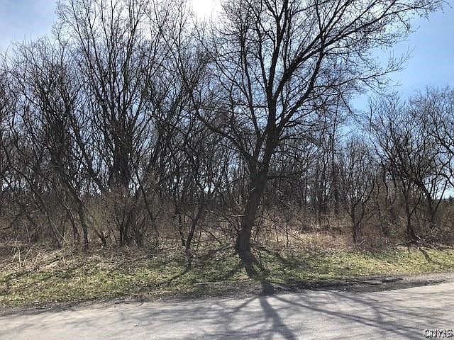 141 Knapps Knolle Rd Utica, NY 13502  | Land/Lot
