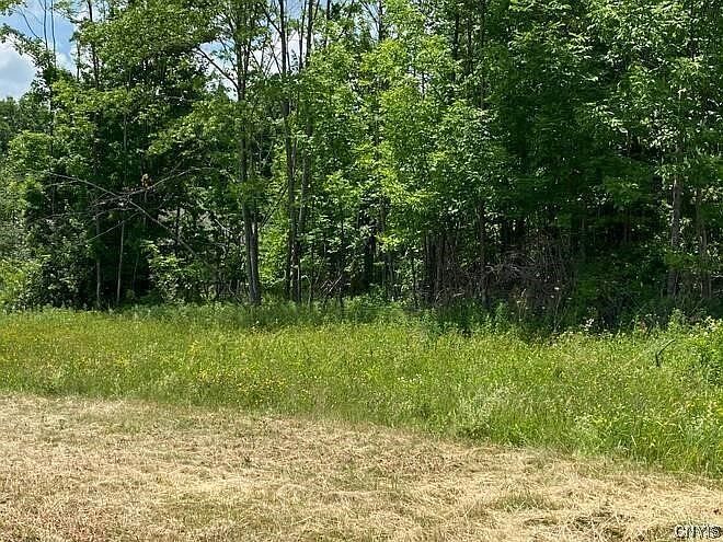 6656 Doe Dr #27 Marcy, NY 13403  | Land/Lot