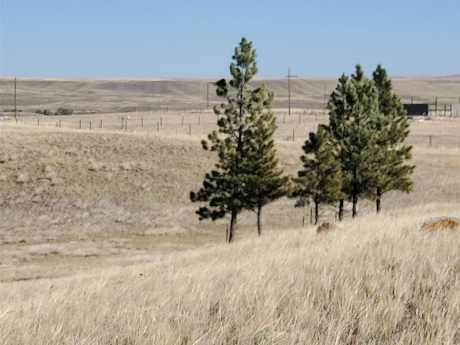 Nhn S Cottonwood Dr Augusta, MT 59410  | Land/Lot