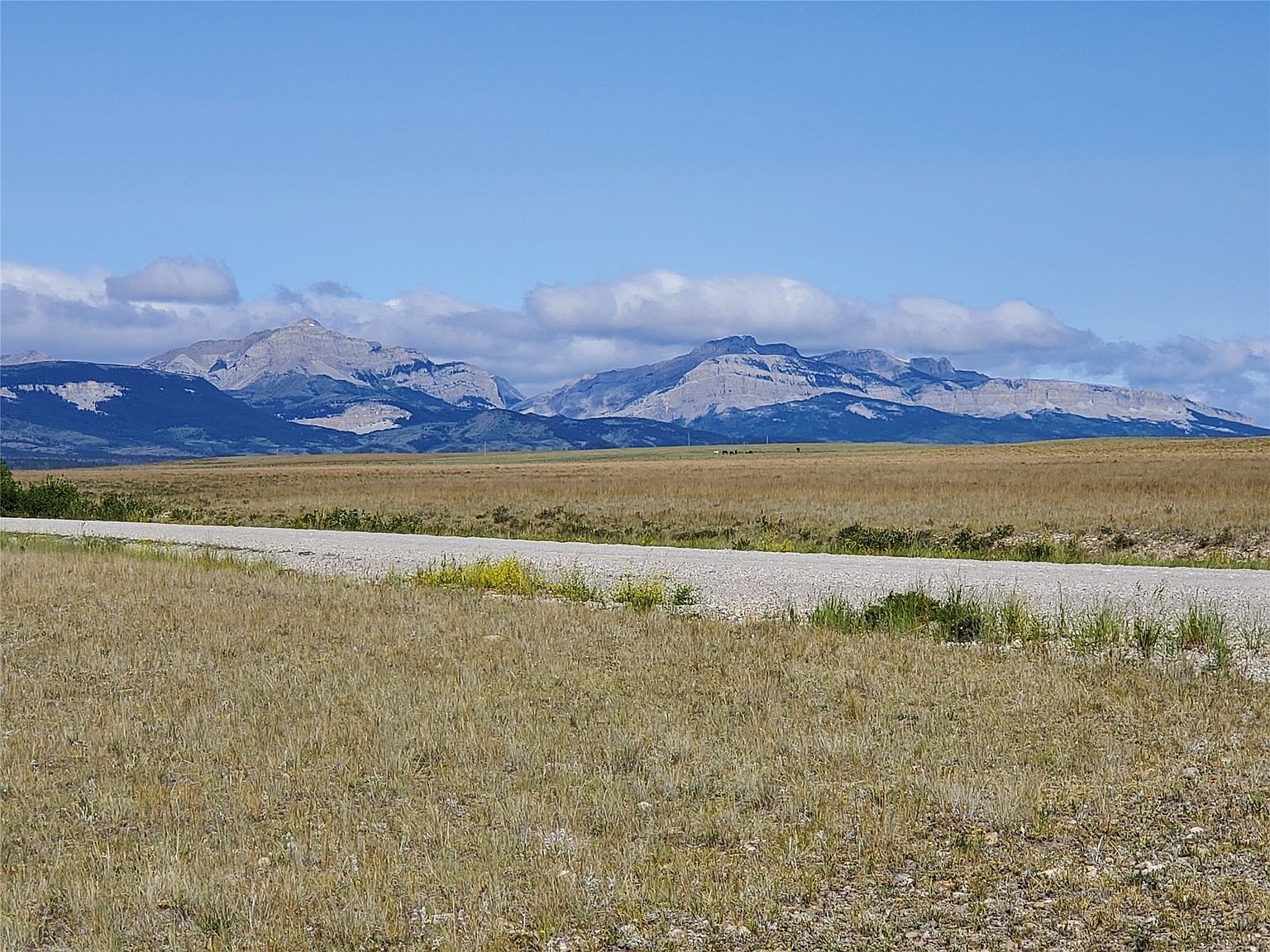 1034 Blackleaf Rd Bynum, MT 59419 | Land/Lot