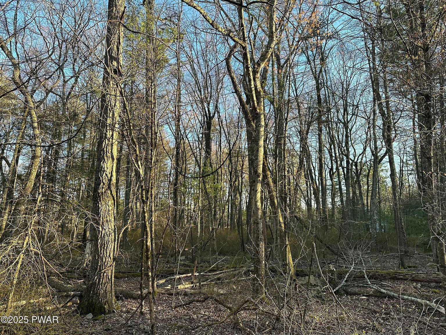 LOT 1537 Sequoia Ln Milford, PA 18337  | Land/Lot