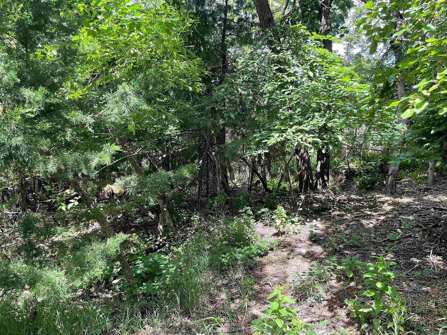 Crooked Oaks Crofton, NE 68730  | Land/Lot
