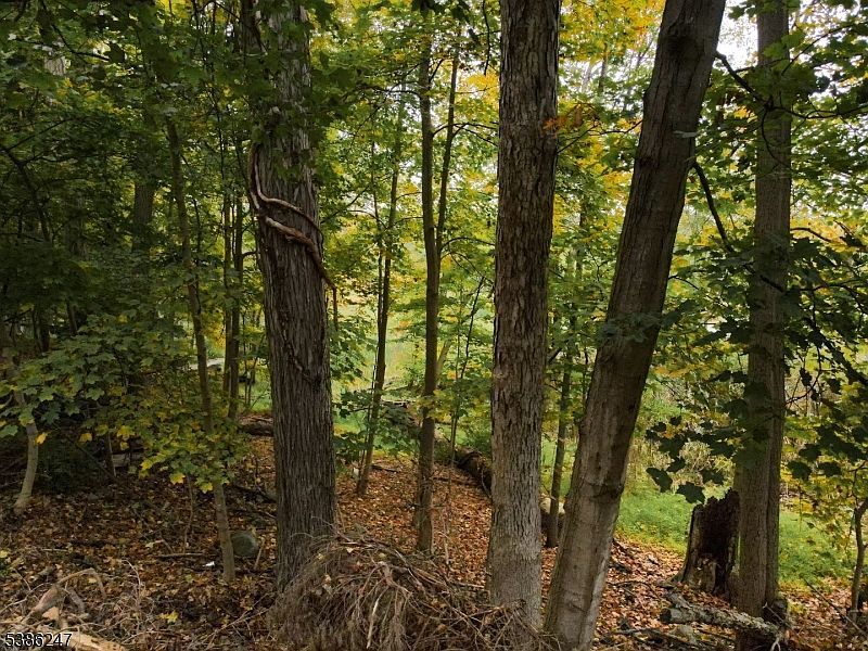 99 Seneca Lake Rd Sparta, NJ 07871 | Land/Lot