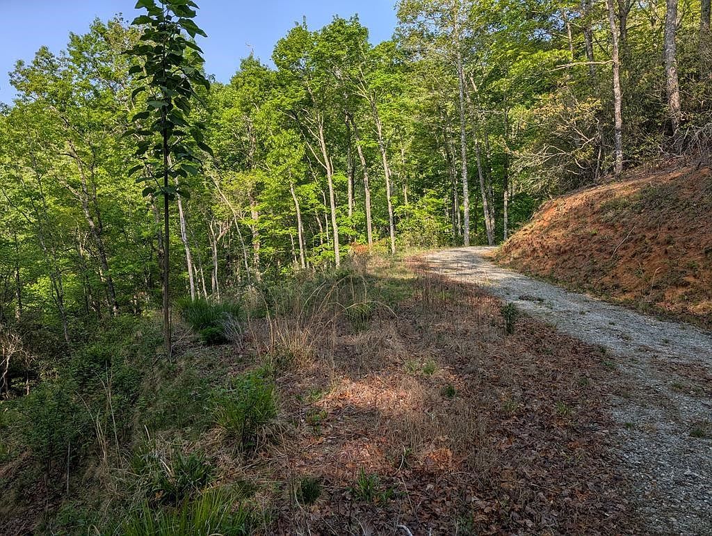 0 Cherokee Mine Rd Franklin, NC 28734  | Land/Lot