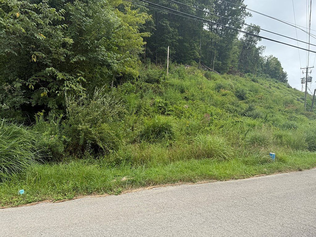 0 Kennedy Dr Chavies, KY 41727  | Land/Lot