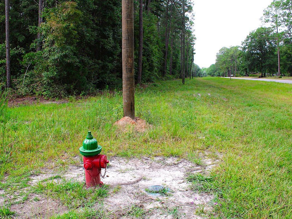 0 S Ward St Geneva, AL 36340 | Land/Lot