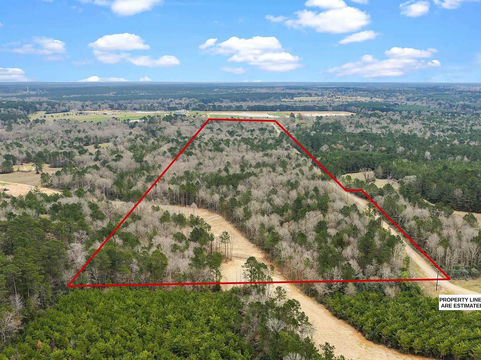 Saint Hwy #147 Center, TX 75935  | Land/Lot