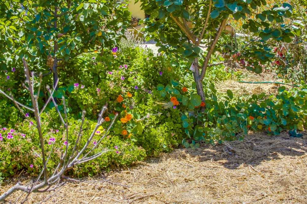 4783 Pescadero Avenue, San Diego, CA, USA, 92107  | Single Family