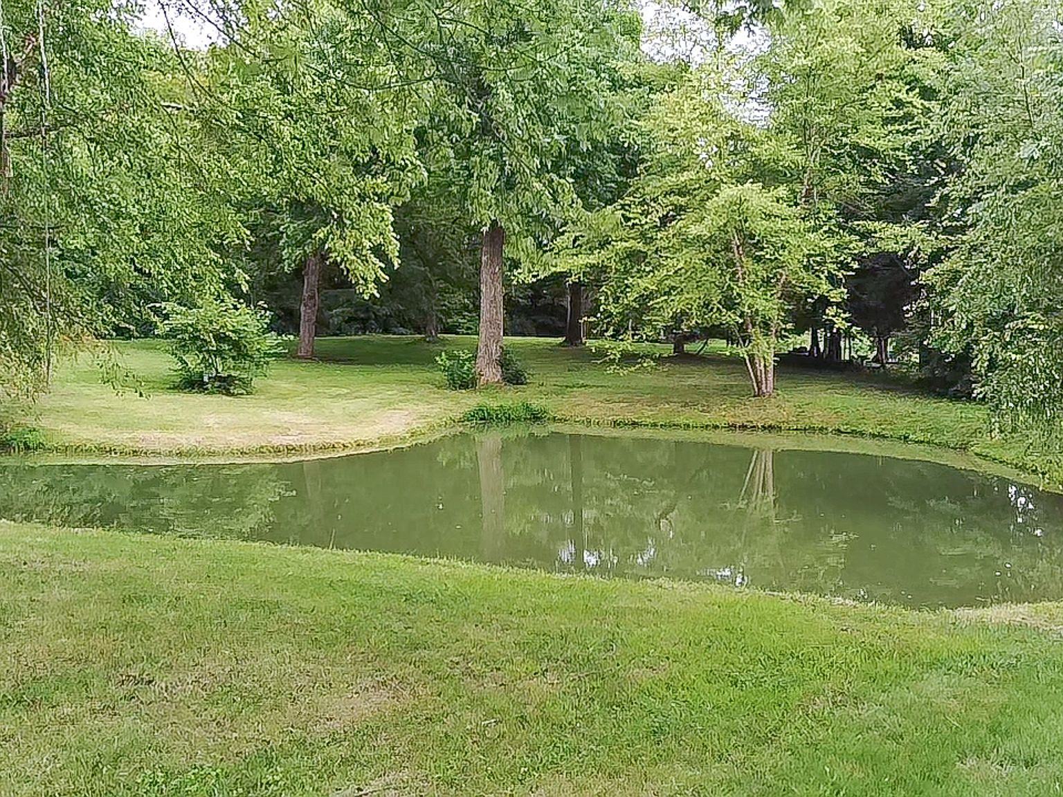 3621 Olive Branch Rd Greenwood, IN 46143  | Single Family