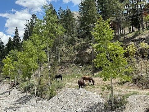 306 Crestview Dr Las Vegas, NV 89124  | Single Family