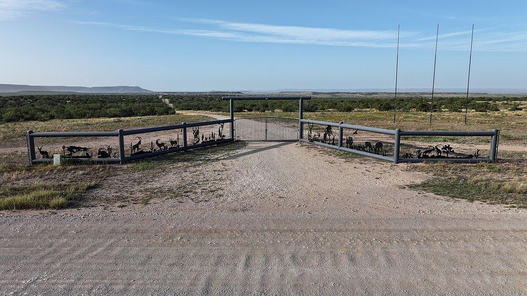 10551 County Road 345 Colorado City, TX 79512 | Single Family