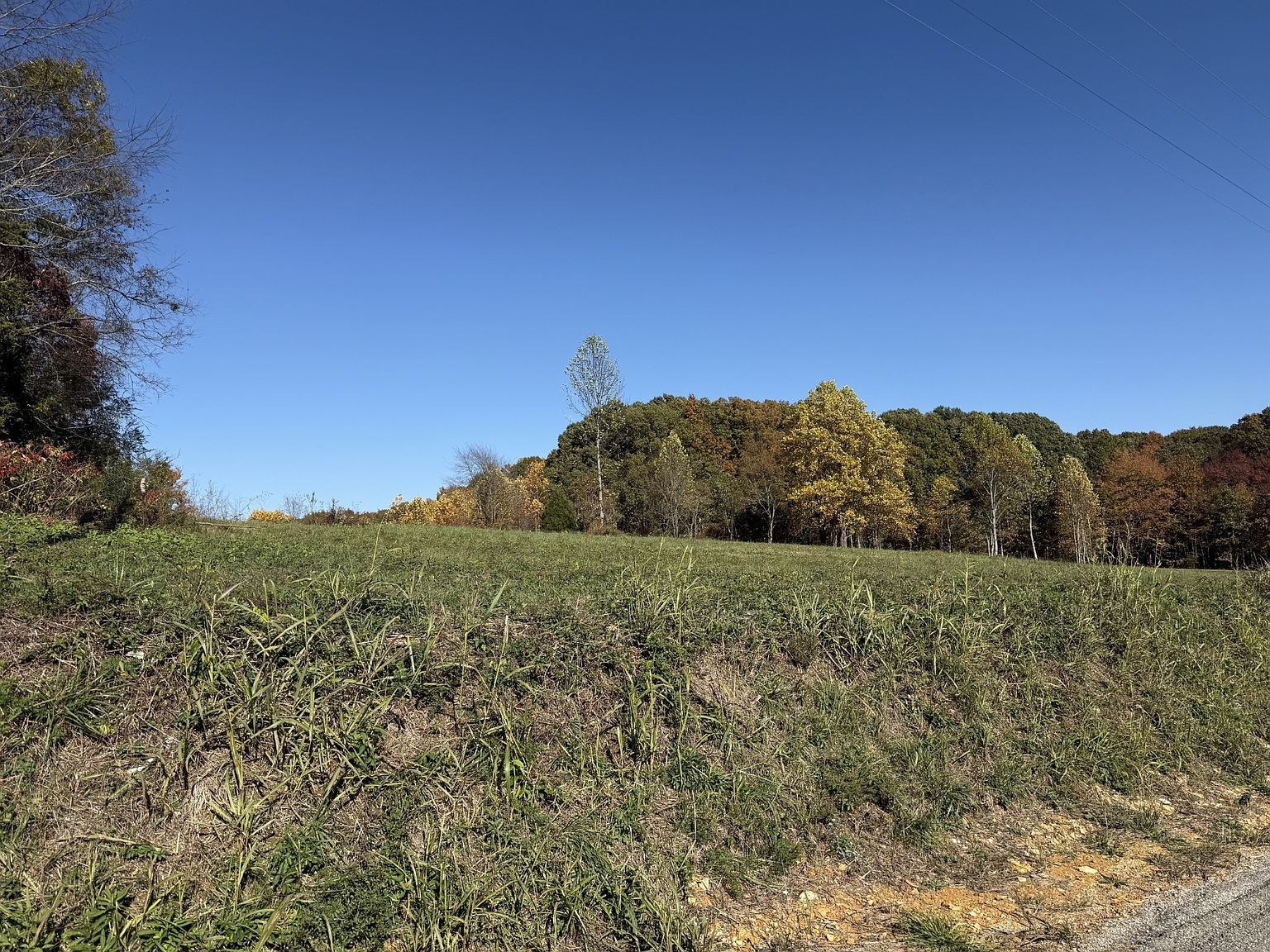 0 Carter Rd #1 Westmoreland, TN 37186  | Land/Lot