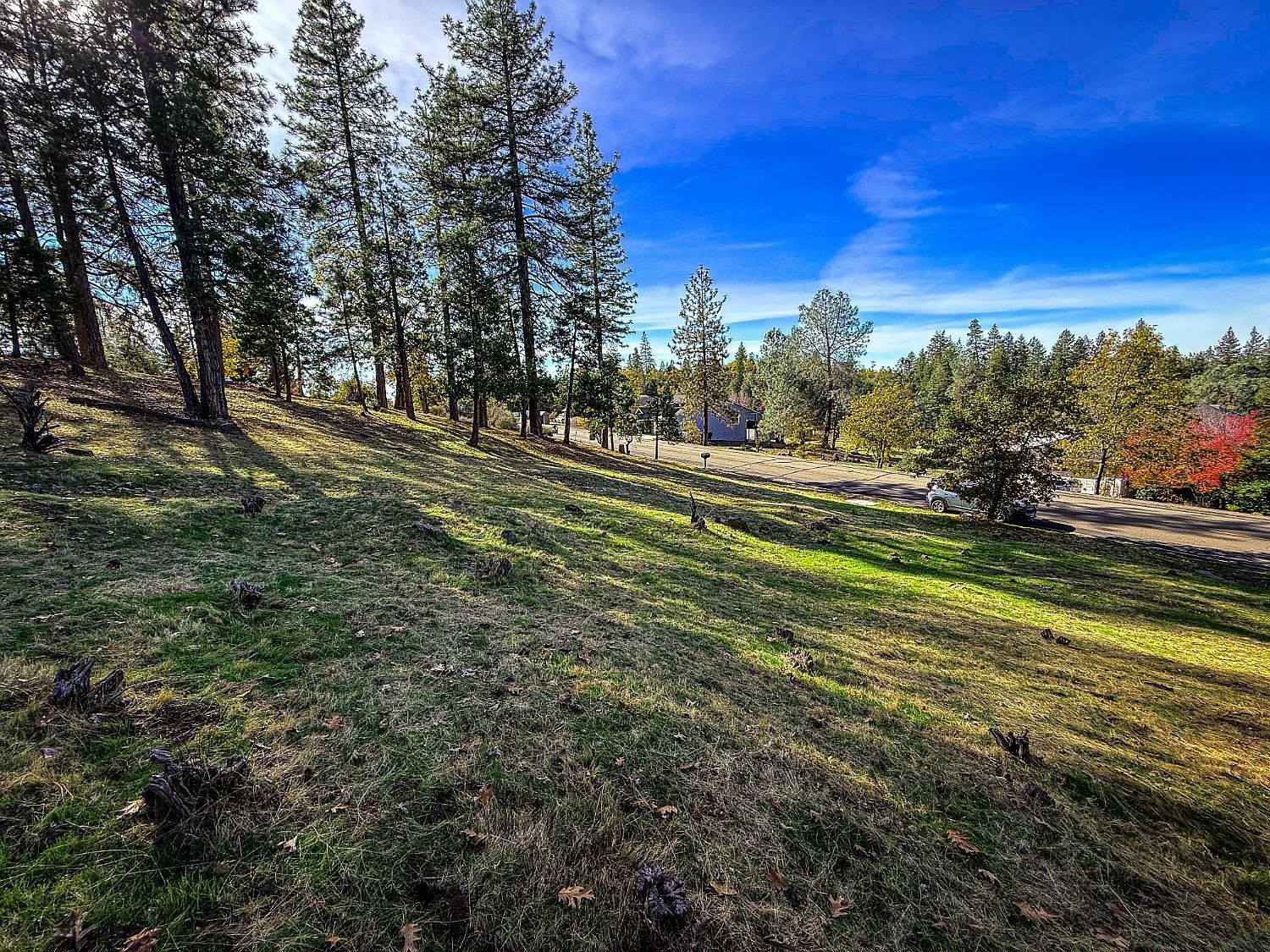 297 Forest Meadows Dr Murphys, CA 95247 | Land/Lot