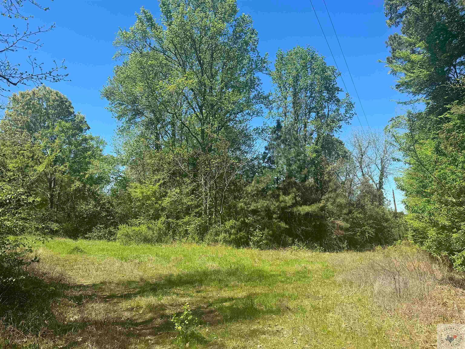 6889 Fm 1399 Linden, TX 75563 | Land/Lot