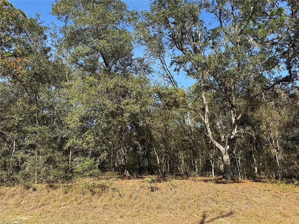 SE 115th Place Rd LOT 6 Ocklawaha, FL 32179 | Land/Lot