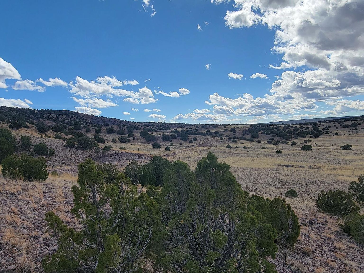 County Road N5337 Concho, AZ 85924  | Land/Lot