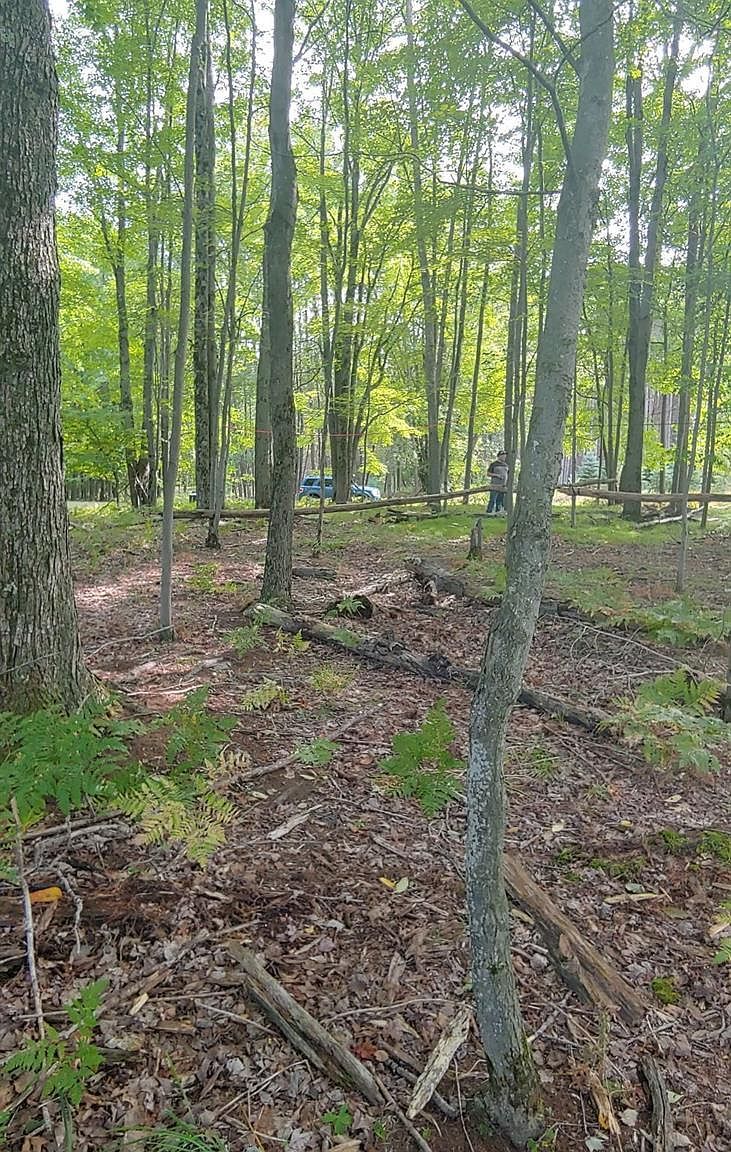 9552 Fawn Lake Dr Stanwood, MI 49346  | Land/Lot