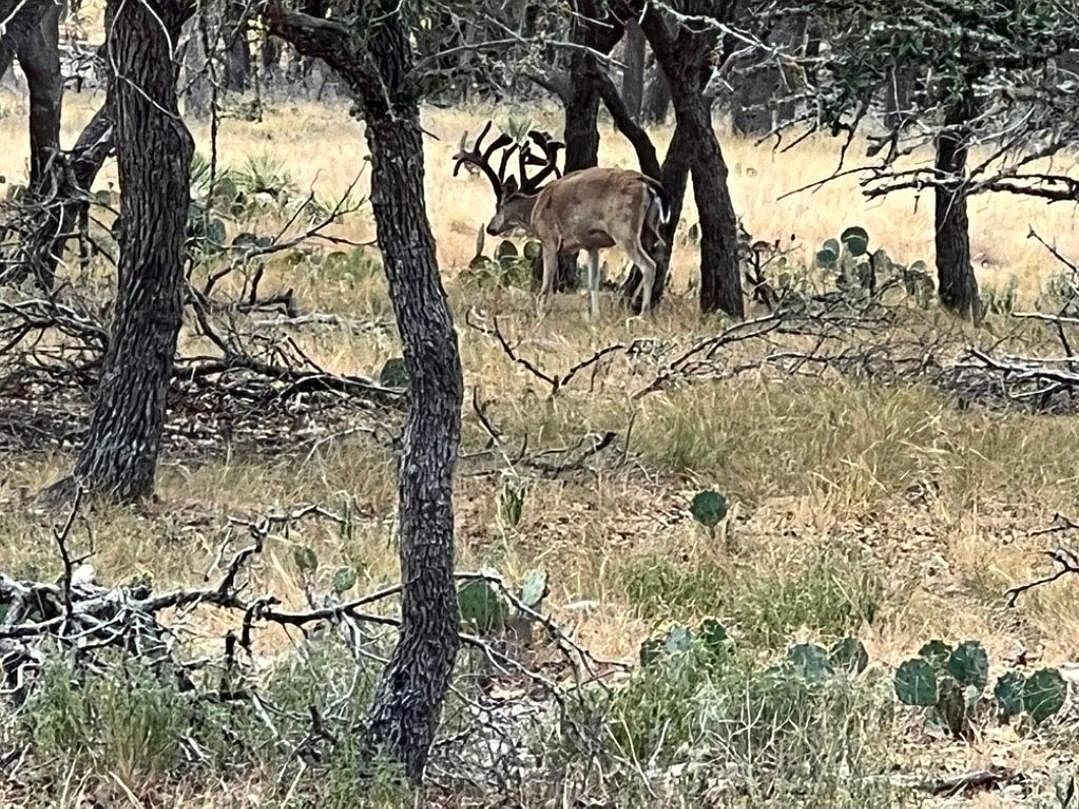 Crooked Tree Cir Harper, TX 78631  | Land/Lot